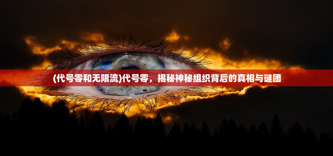(代号零和无限流)代号零，揭秘神秘组织背后的真相与谜团
