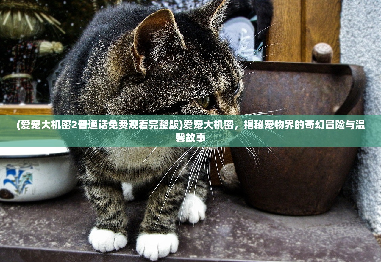 (爱宠大机密2普通话免费观看完整版)爱宠大机密，揭秘宠物界的奇幻冒险与温馨故事
