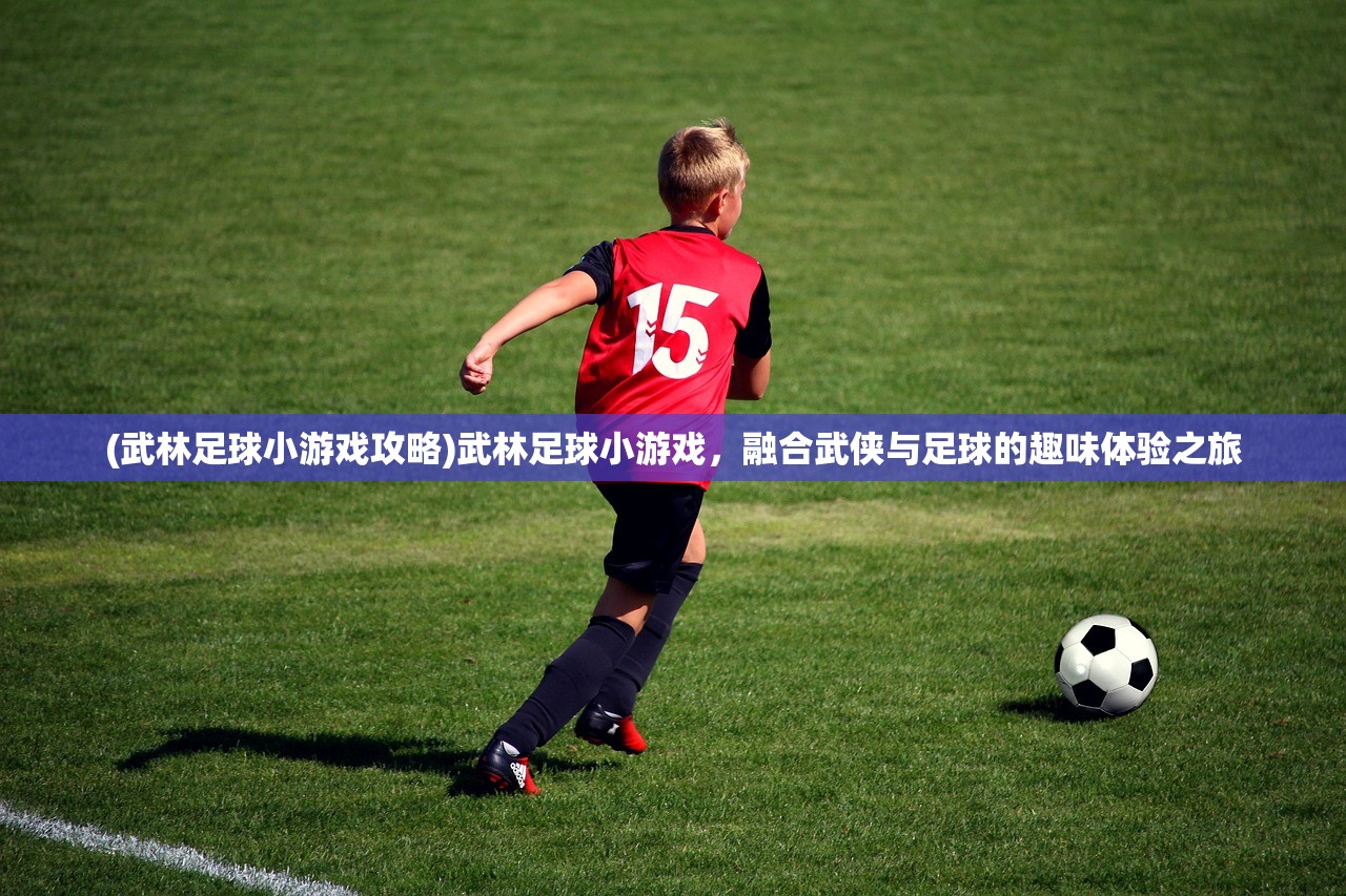 (武林足球小游戏攻略)武林足球小游戏，融合武侠与足球的趣味体验之旅