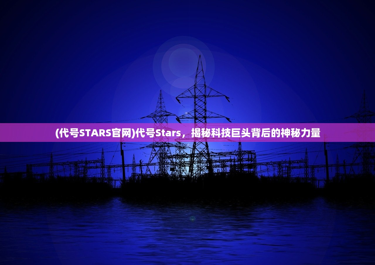 (代号STARS官网)代号Stars，揭秘科技巨头背后的神秘力量