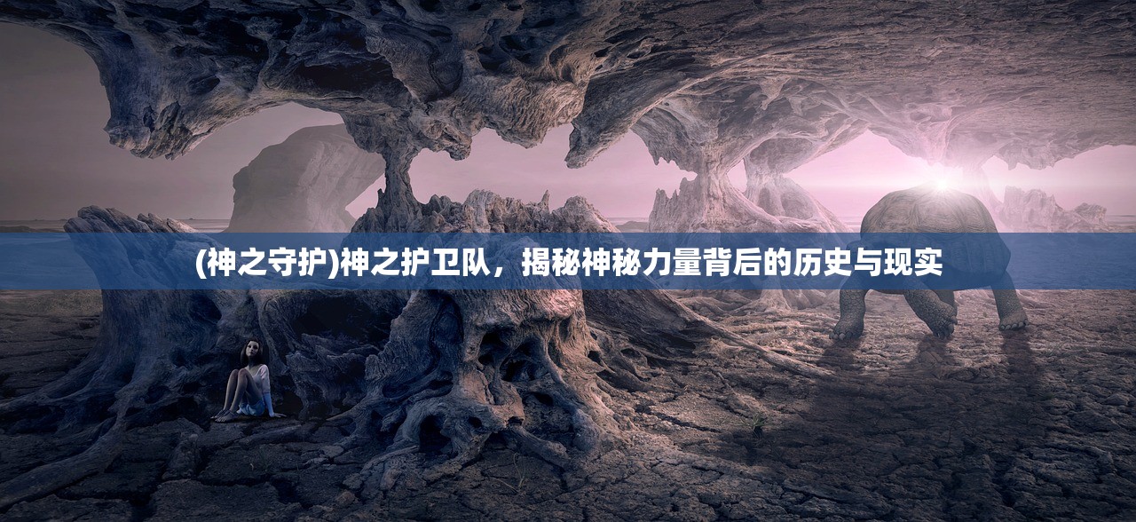 (神之守护)神之护卫队，揭秘神秘力量背后的历史与现实