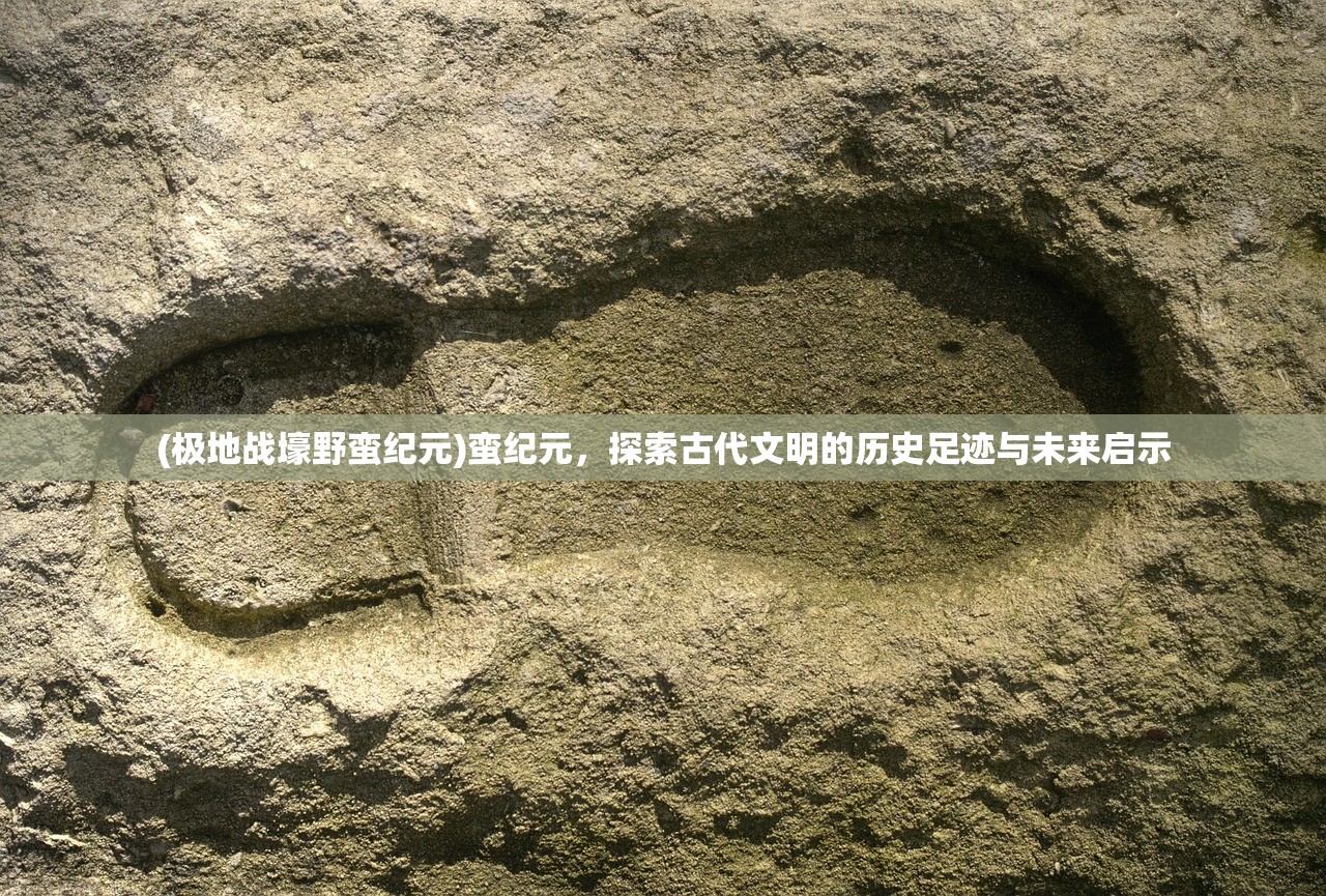 (网内人阿涅名字的由来)阿涅瓦相，网球世界的新星，排名之谜与未来展望