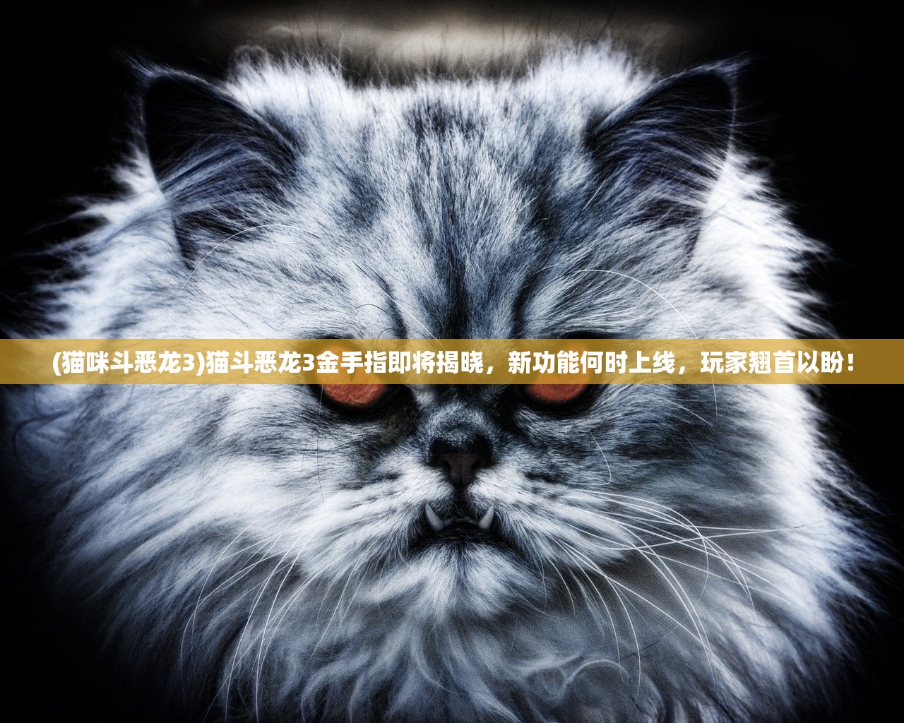 (山有扶苏太后召见)山有扶苏2019太后，探寻历史长河中的太后形象与文化传承