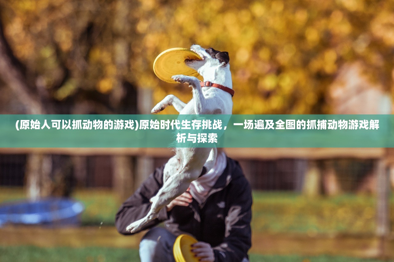 (西楚霸王的西楚在哪里地图)探寻历史足迹，西楚霸王的西楚究竟在何处？一场跨越千年的地理寻踪之旅