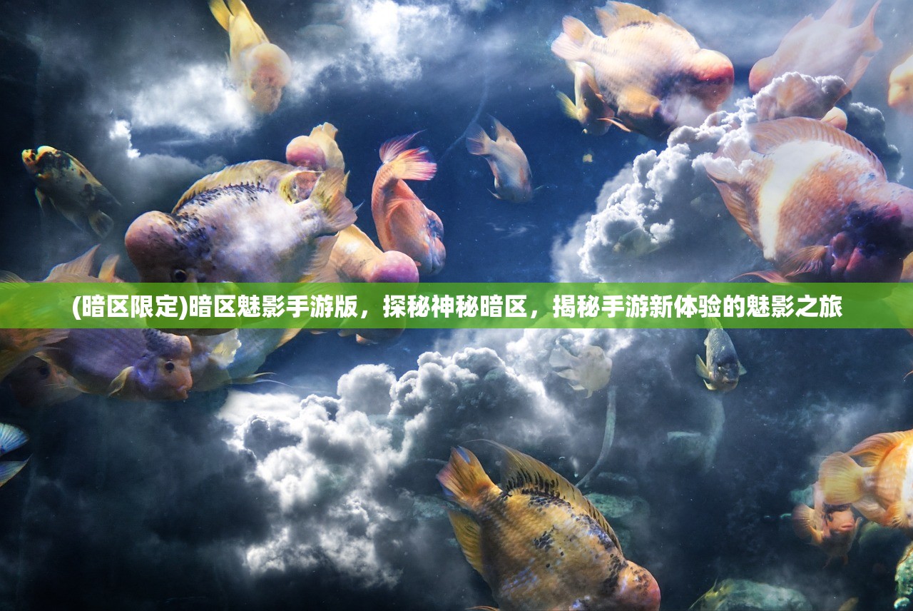 (神舞幻想攻略加点怎么加)神舞幻想攻略，全方位加点解析，助你轻松提升战斗力！