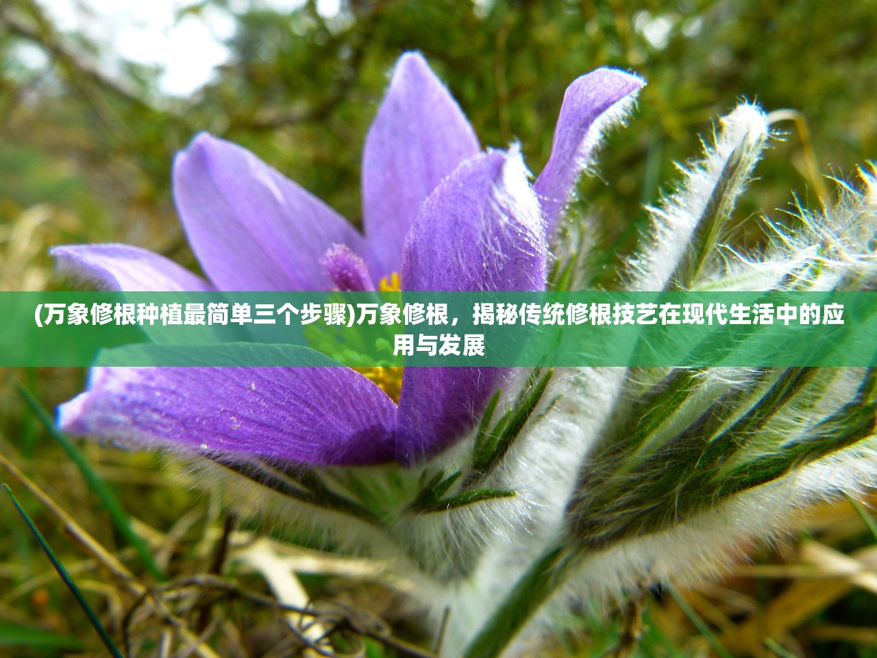 (大唐盛饰装饰设计有限公司)大唐盛饰，揭秘唐朝盛世文化瑰宝的艺术魅力与传承之谜