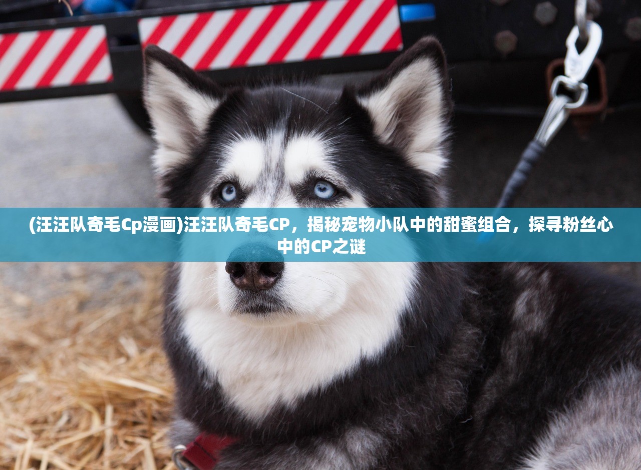 (永暮双狼怎么获得)永暮幻想激活码最新列表揭晓，探索游戏奥秘，解锁幻想世界！