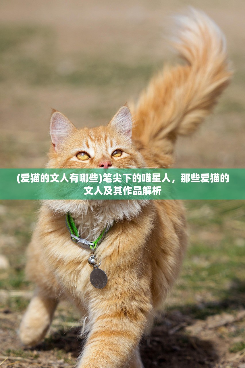 (征服的荣耀围城人物都怎么解锁)征服的荣耀围城，历史、文化、心理层面的探讨与反思