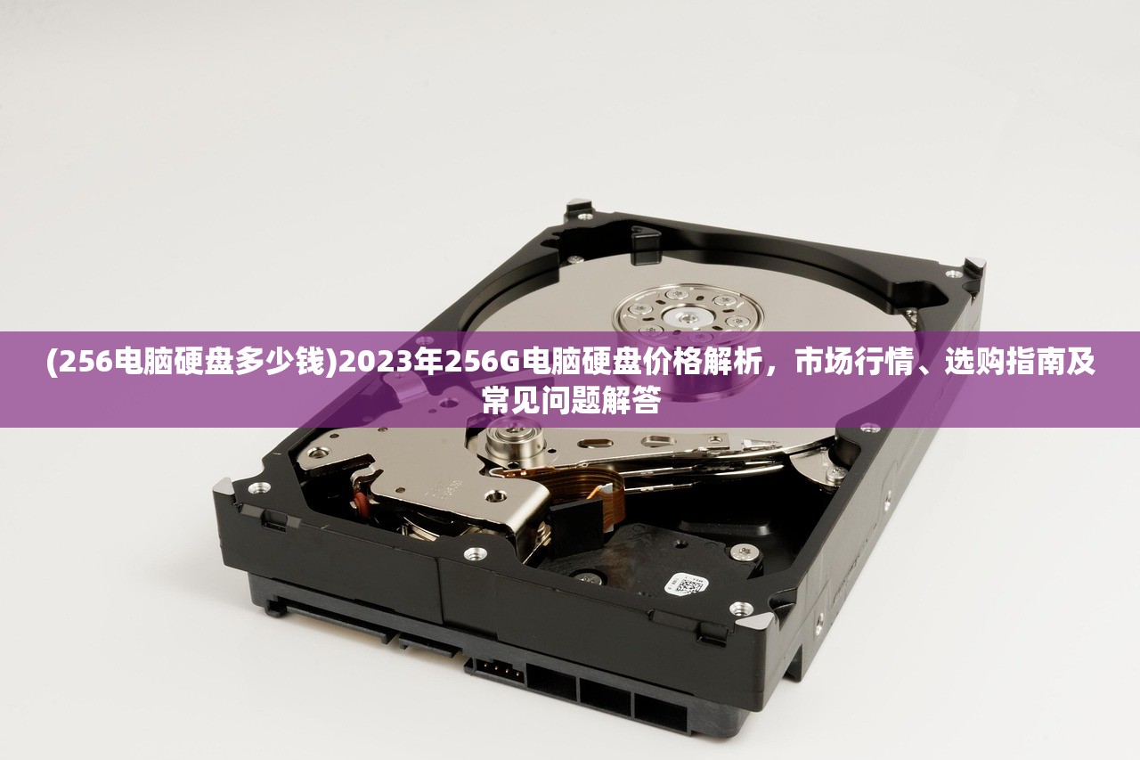 (龙域战神短剧免费观看)龙域战神，穿越时空的传奇，探寻虚拟与现实交织的奥秘
