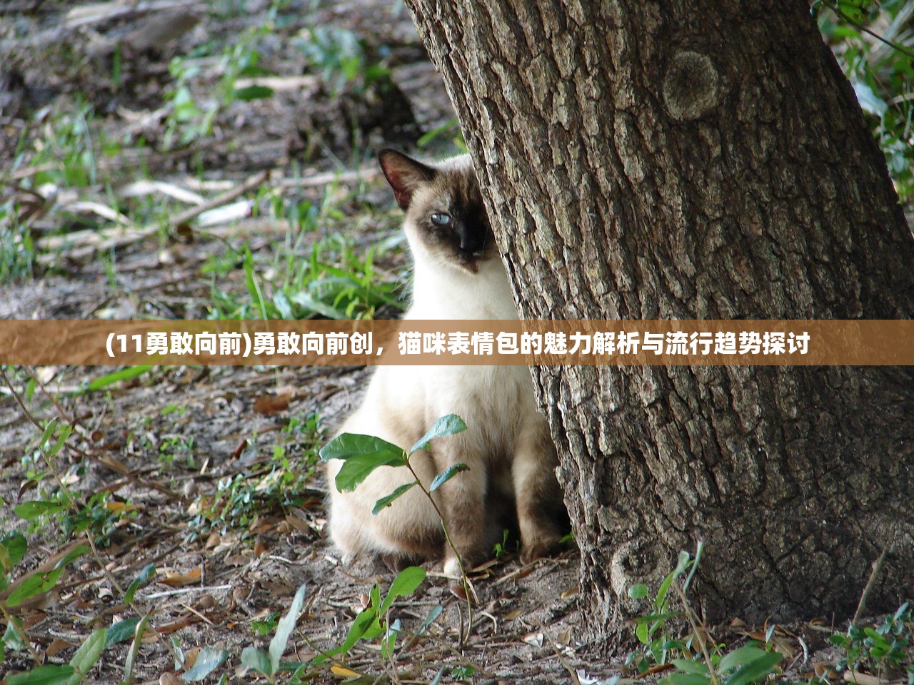 (零下记忆剧情讲的是)零下记忆2，探寻记忆深处的秘密与人性探索
