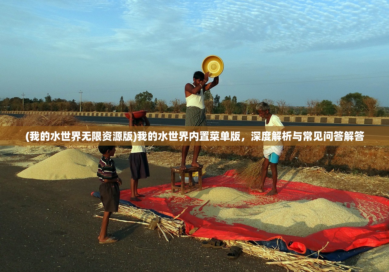 (我的水世界无限资源版)我的水世界内置菜单版，深度解析与常见问答解答