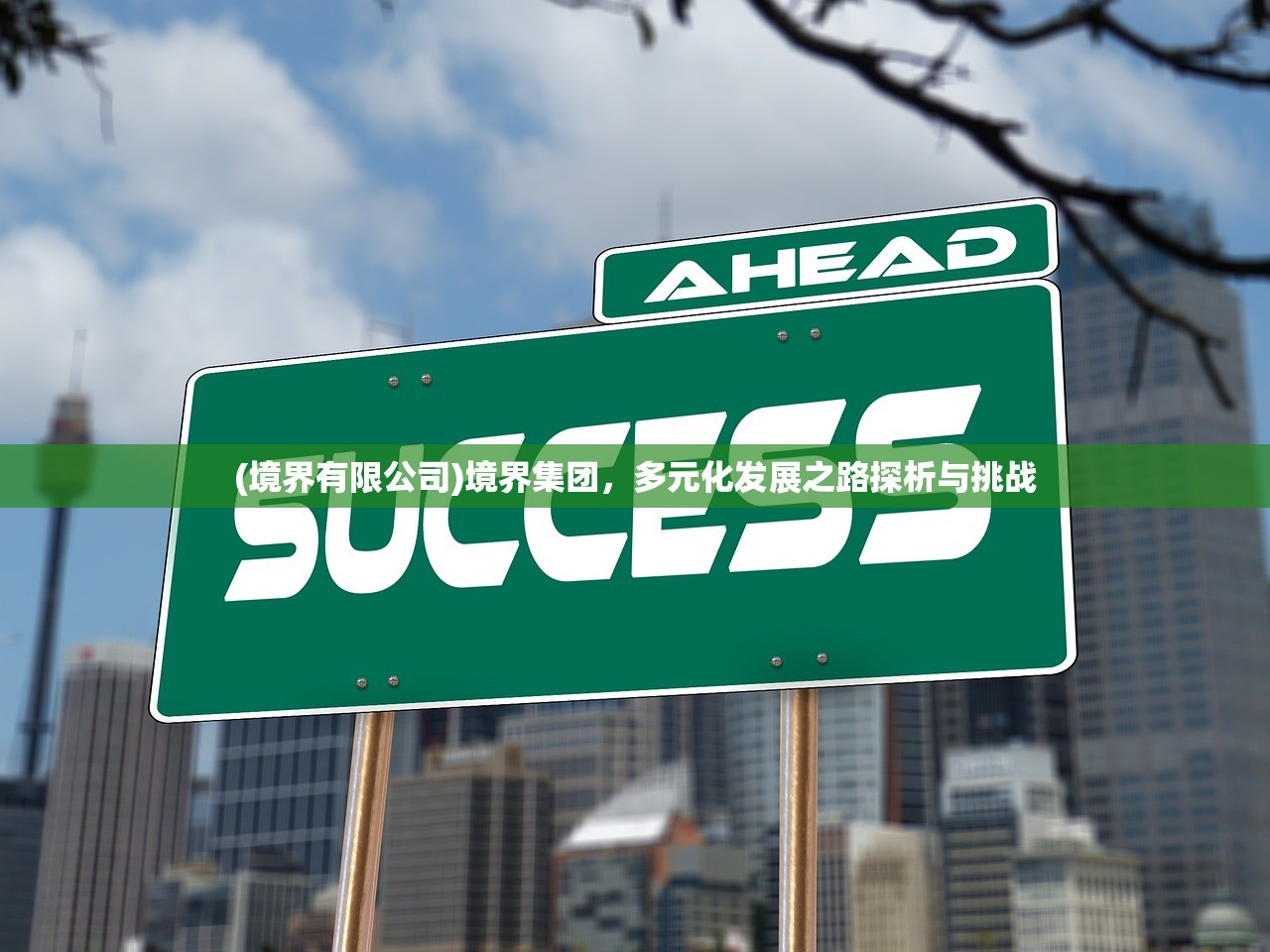 (境界有限公司)境界集团，多元化发展之路探析与挑战